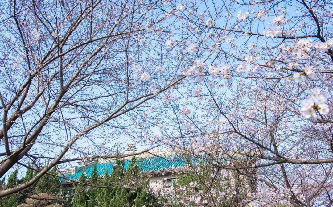 五金建材 第5页