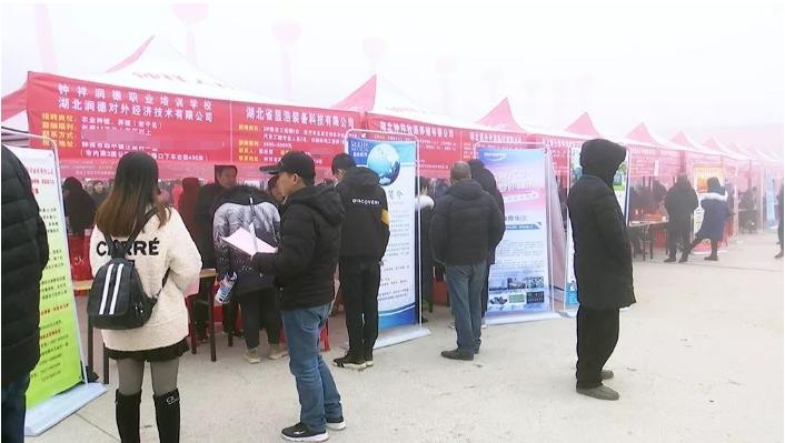 钟祥求职最新动态，变化中的机遇与学习的自信与成就感